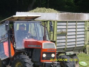 Ursus 1224