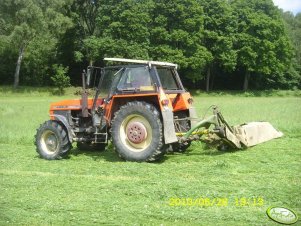 Ursus 1224