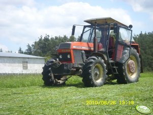 Ursus 1224