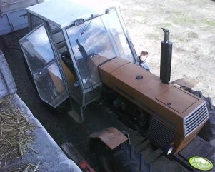 Ursus 1224