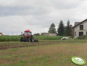 Ursus 1224