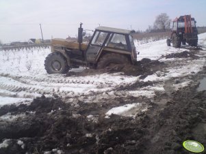 Ursus 1604 i Zetor 5320