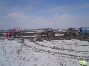 Ursus 1614 + 1604+ Zetor 5320