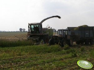 Ursus 1614 + Claas Jaguar 