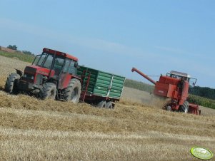 Ursus 1614 + Warfama