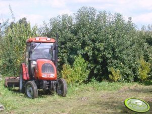 Ursus 3502 Agro Bis + rozdrabniacz