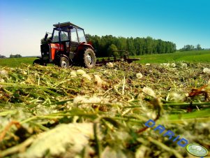 Ursus 3512 & Gwiazdówka