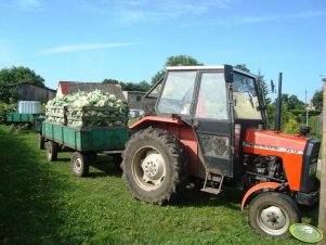 Ursus 3512 i przyczepki