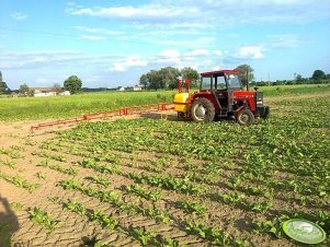 Ursus 3512 + opryskiwacz 800/15