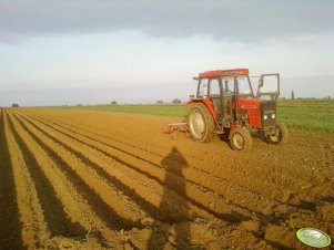 Ursus 4512 + redła 5 Akpil