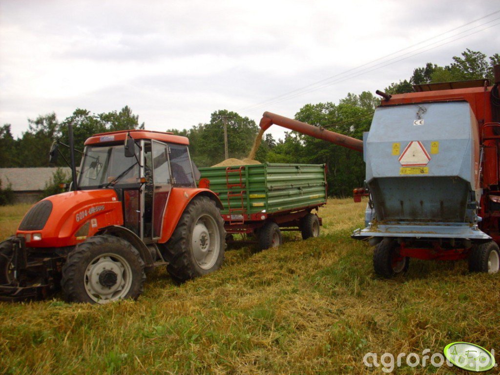 Zdjęcie traktor Ursus 6014 id237962 Galeria rolnicza agrofoto
