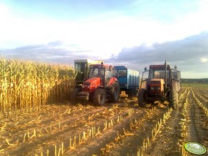 Ursus 904 & Pronar 5135 & CLAAS Jaguar 70 SF