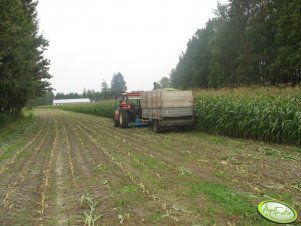 Ursus 904 turbo + Mengele 350 turbo + Rozrzutnik 