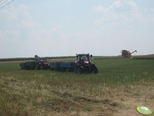 Ursus 914, Case 135 PRO, Bizon Rekord Z058