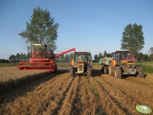 Ursus 914 i 1224 oraz Bizon Z056