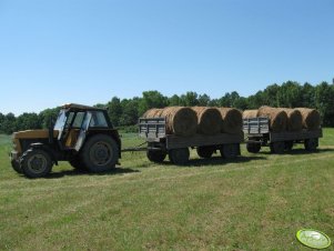 Ursus 914 i 2x Sanok D50