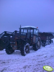 Ursus 914