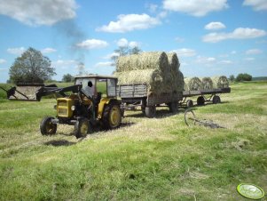 Ursus C-330 & Autosan 