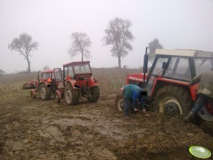 Ursus C-330, C-360 i Zetor 8145