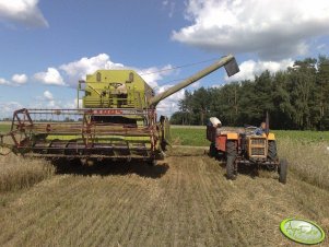 Ursus C-330 & Claas Senator