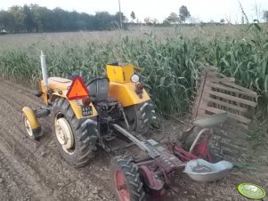 Ursus C-330 i kosiarka konna