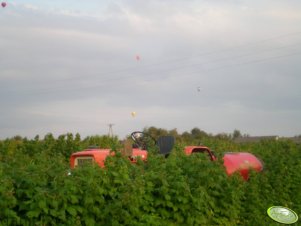 Ursus C-330 & Opryskiwacz Sadowniczy