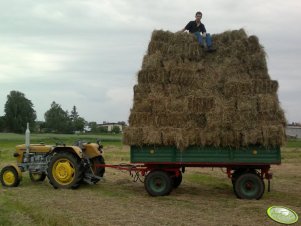 Ursus C-330 + Przyczepa