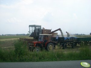 Ursus C-330 + przyczepy