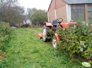 Ursus C-330 & rozdrabniacz