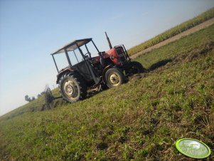 Ursus C-330 + słoneczko 