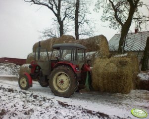 Ursus C-330 + widły