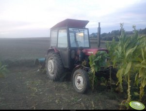 Ursus C-330M + Glebogryzarka