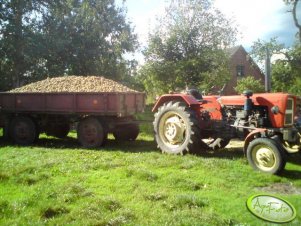 Ursus C-330M + Przyczepa D30