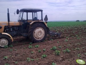 Ursus C-335 & obsypnik 