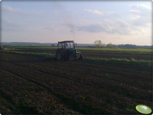 Ursus C-355 + Bomet 1.80m