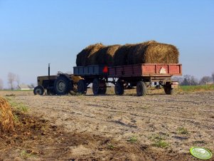 Ursus C-355 + przyczepy