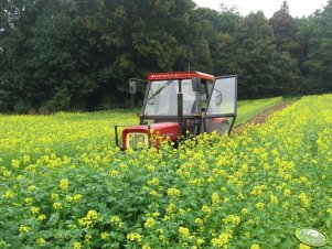 Ursus C-355+ Unia Grudziądz