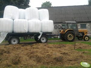 Ursus C-355 + Zasław