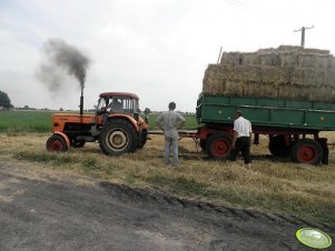 Ursus C-360 + 2x przyczepa D-47