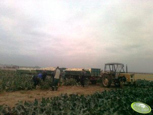 Ursus C-360 3P + 3x Autosan