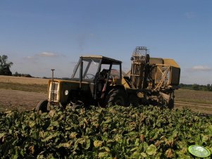 Ursus C-360-3P i Kleine automatic 5000