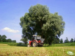 Ursus C-360-3P + Lej