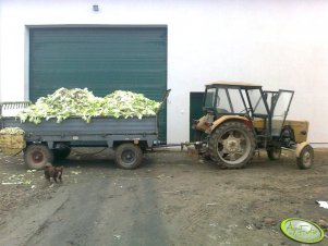 Ursus C-360 3P + Rozrzutnik