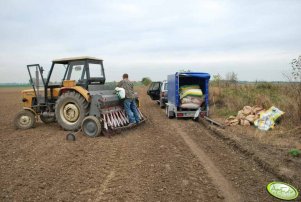 Ursus C 360 3P + Siewnik Poznaniak