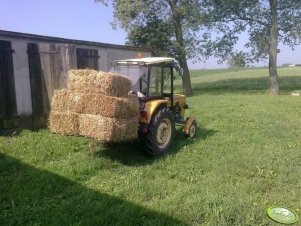 Ursus C-360 3P & Widły