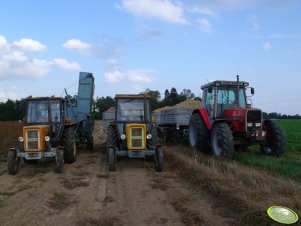 Ursus C-360 3P x2 i MF 3095