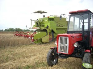 Ursus C-360 i Claas Dominator 80