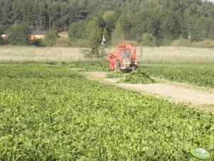 Ursus C-360 i Neptun 413