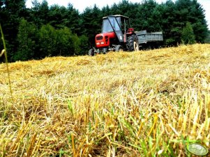 Ursus C-360 i przyczepa 