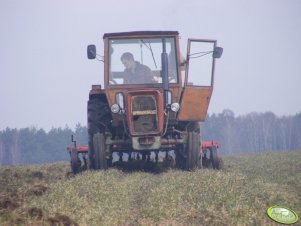 Ursus C-360 + kultywator